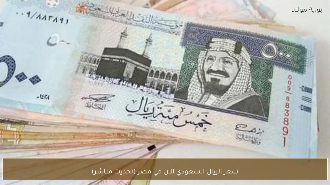سعر الريال السعودي اليوم الأحد 22 فبراير 2026.. استقرار أمام الدولار وتوقعات بارتفاع طفيف